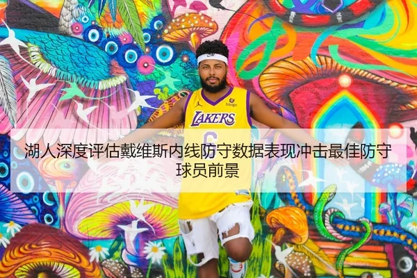湖人深度评估戴维斯内线防守数据表现冲击最佳防守球员前景