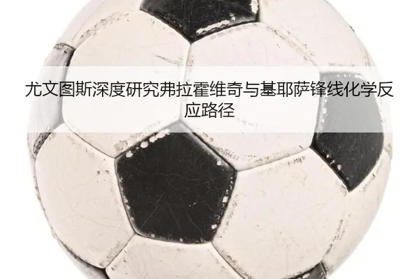 尤文图斯深度研究弗拉霍维奇与基耶萨锋线化学反应路径